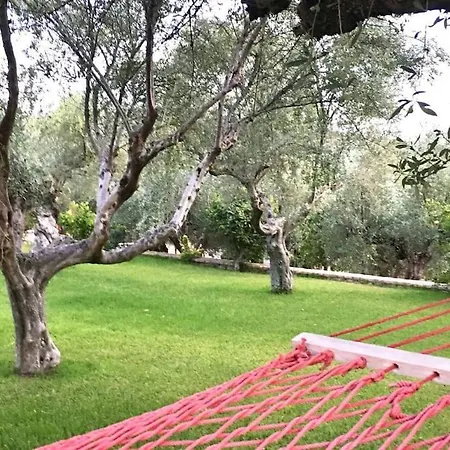 View * Kalamata