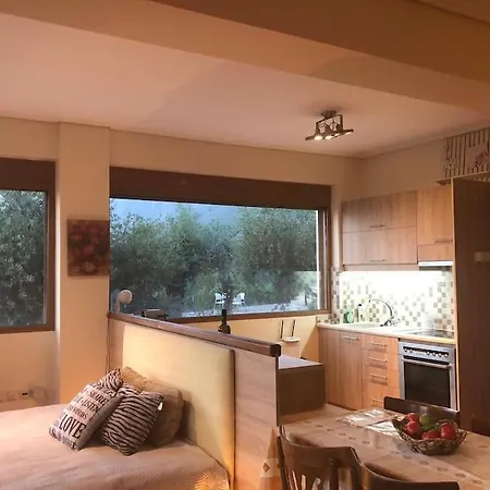View Apartment