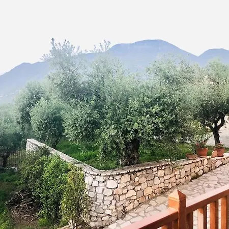 View Apartment